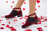 134597 Коллекция женской обуви Осень-Зима-Весна от производителя TM CATS