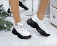 141607 Коллекция женских ботинок Осень-Зима-Весна 2021/22 от производителя TM CATS