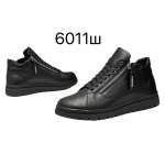 6011sh_3-cevivo.jpg