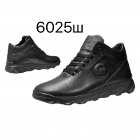 152757 Мужские ботинки Cevivo 152757